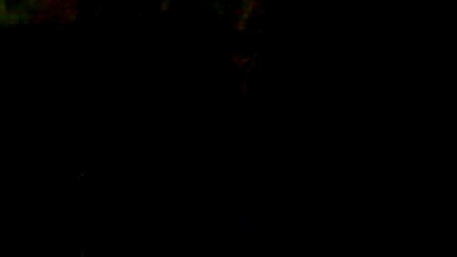 Ильич metal ))) смотреть онлайн