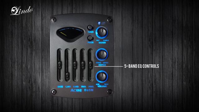 Lindo Guitars - BS5M Blend Piezo/Mic Electro Acoustic Guitar Preamplifer Overview смотреть онлайн