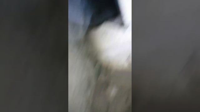 подвал смотреть онлайн