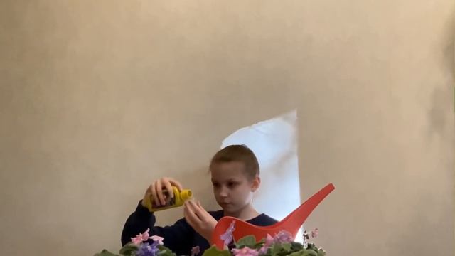 Удобрение для фиалок!