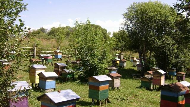 Кто пчелок уважает - поет хор Корецкого женского монастыря смотреть онлайн