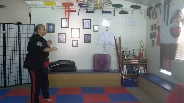 American Kenpo Karate Blue Belt Techniques #13-24 смотреть онлайн