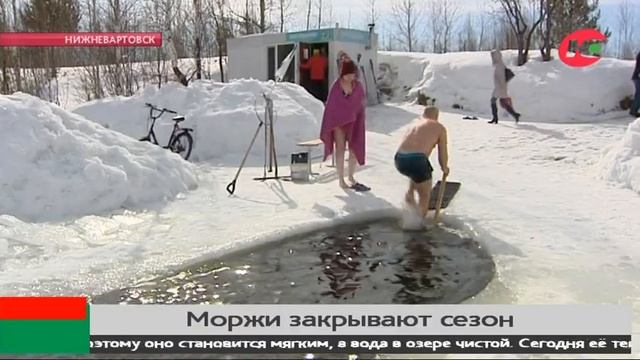 Моржи Югры объявили о приходе весны смотреть онлайн