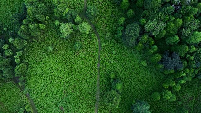 just another nature walk | очередная прогулка на природе (4K UHD VIDEO) смотреть онлайн