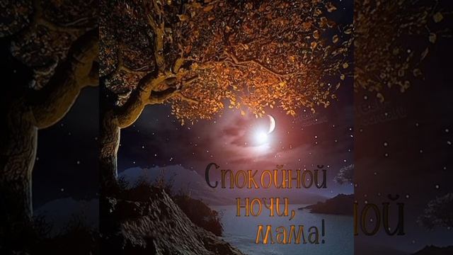 ?Спокойной ночи!? #позитив #хорошеенастроение #открытка #вечер #спокойнойночи ?
