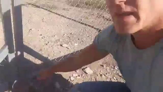 Забор сетка рабица готов + отзыв клиента смотреть онлайн