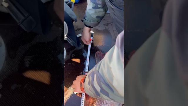 щука весом 15 кг смотреть онлайн