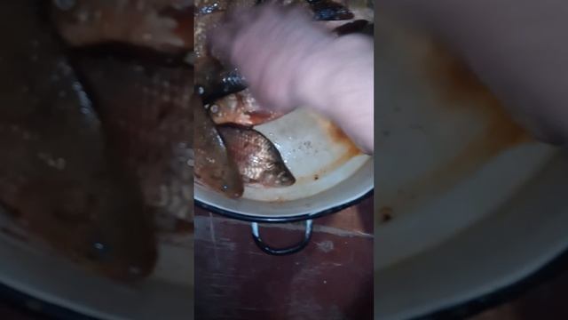 Рыбный день смотреть онлайн
