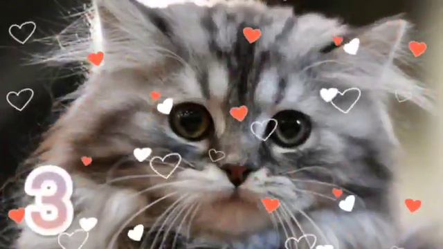 который тебе больше нравится? #sevaravideo смотреть онлайн