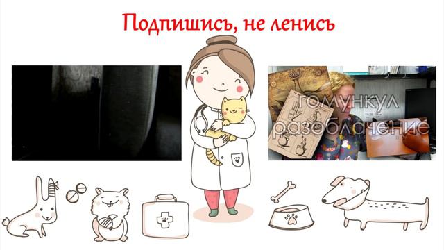 ПРИКОЛ Кошка спит или... смотреть онлайн