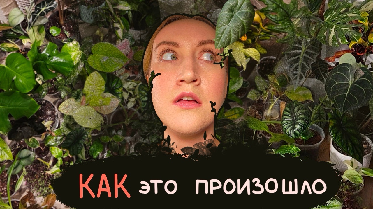 Я и РАСТЕНИЯ | КАК это произошло | Моя история, показываю БЫЛО/СТАЛО || Мои ошибки в начале пути смотреть онлайн