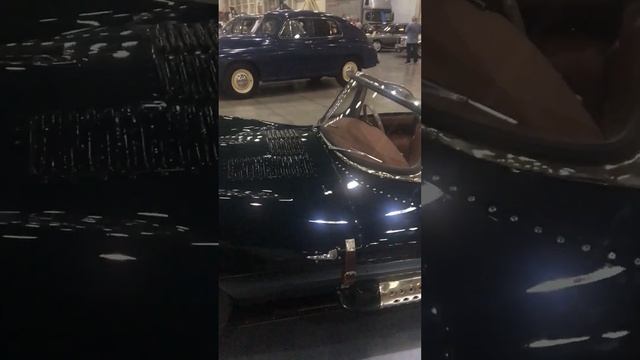 Ягуар-маленький.