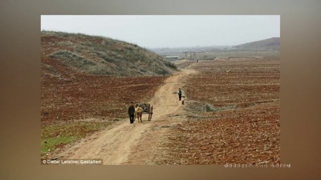 Отличия между Северной Кореей и Южной Кореей смотреть онлайн
