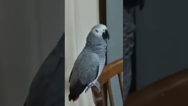 Поработаем. Где Маруся? смотреть онлайн