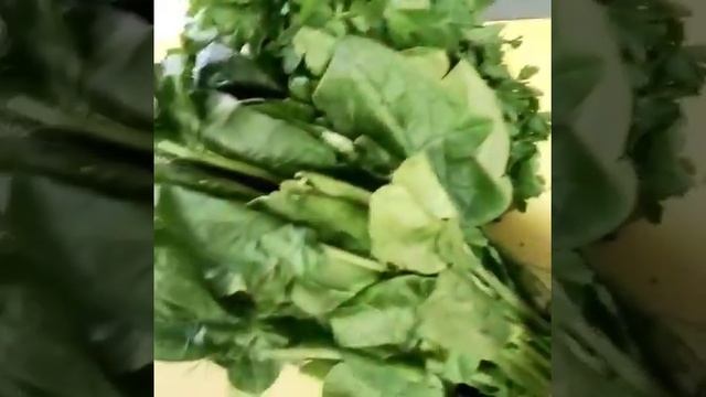 Щи весенние из Азовских карасей