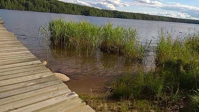 Рыбалка на даче на Свири смотреть онлайн
