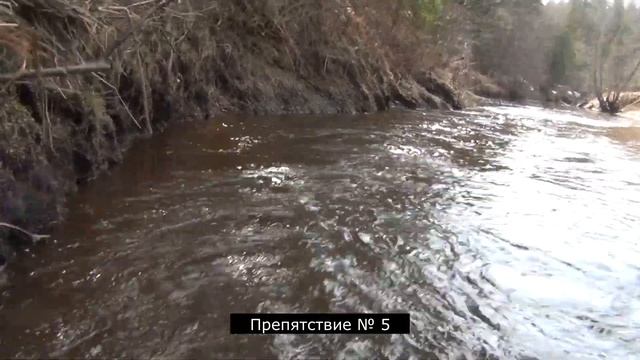 Сплав по р. Сендеге (с. Адищево-д. Сергеево Островский район) 18.04.2023 г. смотреть онлайн