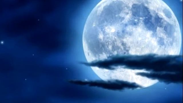 Интересные факты о природе. Первый выпуск. смотреть онлайн