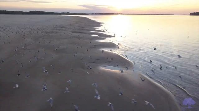 Рыболовная база "Два пескаря" смотреть онлайн