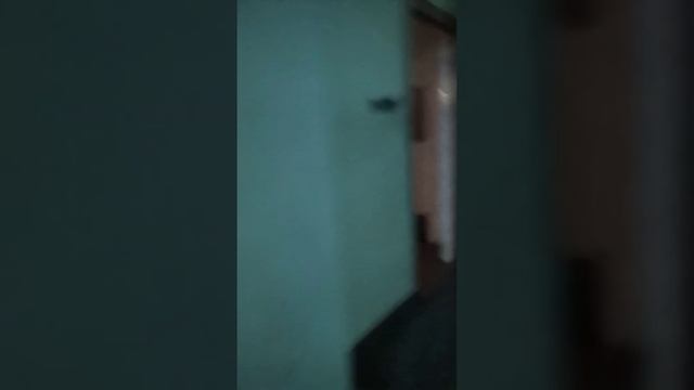Марафон Start Dninro, Участвую в Марафоне ? 29.10.23, Заняла 3 МЕСТО))+ Распаковка ПОДАРКОВ.? смотреть онлайн