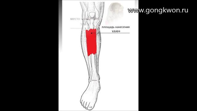 Лоу кик в ГКЮ Спб смотреть онлайн