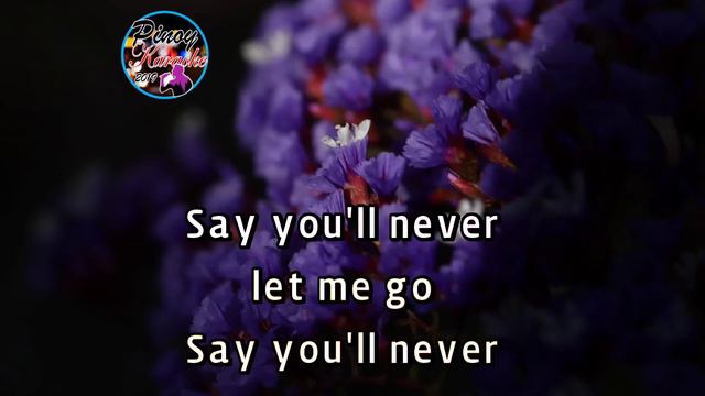 Roses by The Chainsmokers (Karaoke : Baritone Key) смотреть онлайн