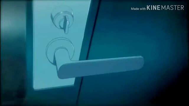 Anime Love [AMV] - Lost Boy