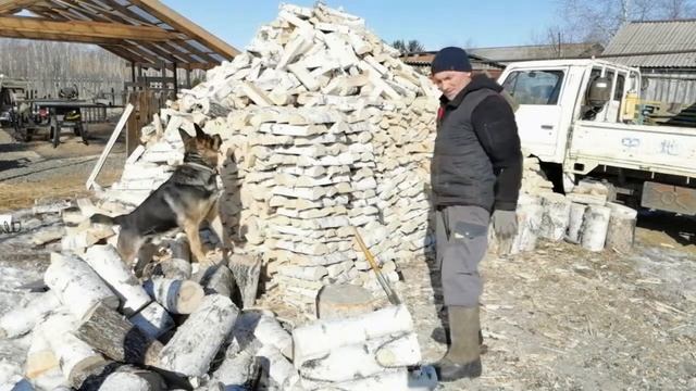 Колка берёзовых дров ч.8 смотреть онлайн