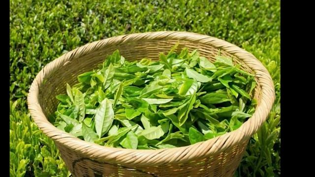 Международный день чая. 15 декабря. смотреть онлайн