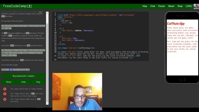 Add Images to your Website, freeCodeCamp review html & css, lesson 16 смотреть онлайн
