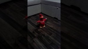 Музыкальная игрушка Петушок - ходит, кукарекает и поет 6 песен!
