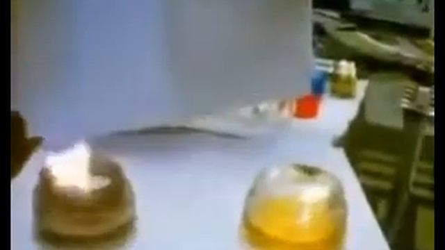 Компания FFI. MPG-Caps тест на дизельном топливе в Бразилии смотреть онлайн