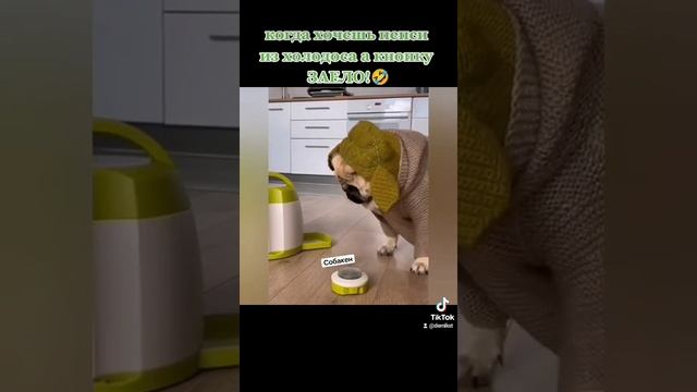 кнопка смотреть онлайн