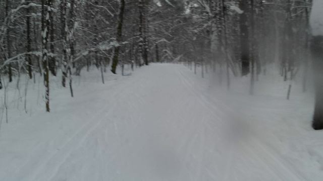 Беговые лыжи в Химкинском лесу 16 декабря 2023 смотреть онлайн