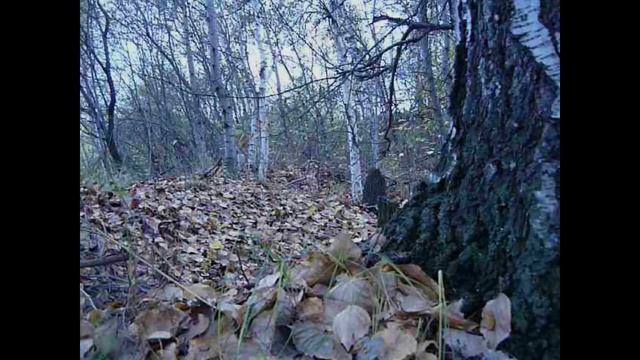 БукТрейлер 