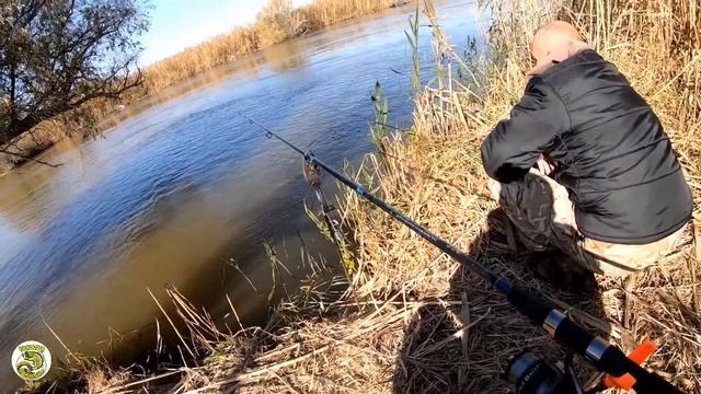 Тестим Карповое Удилище BAZIZFISH CARP 360. Ловим Сомов смотреть онлайн