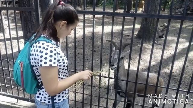 VLOG/Братск - Новосибирск/встреча с КАТЕЙ АДУШКИНОЙ! смотреть онлайн