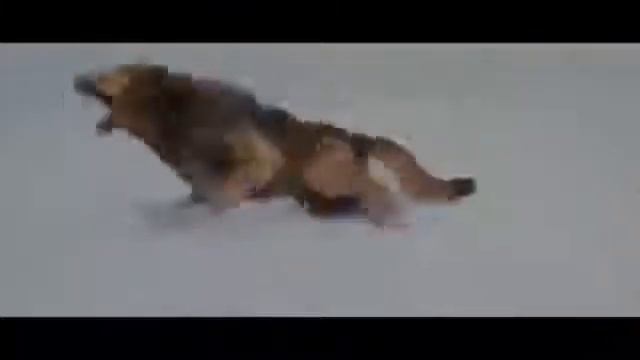 Сумерки.эту песню ищут все смотреть онлайн