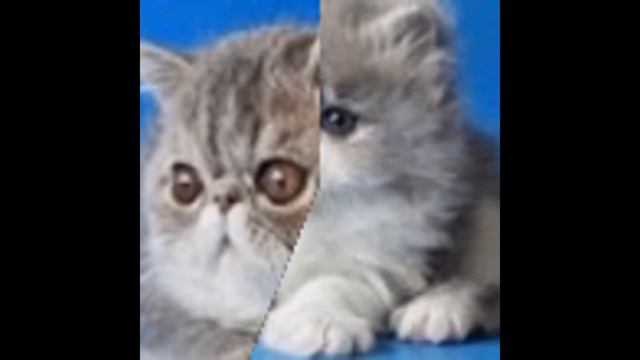 Мое слайд-шоу самое первое