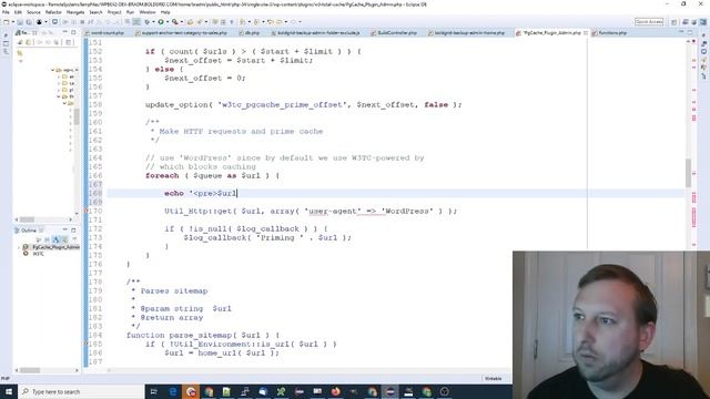 Using a script to prime cache in W3 Total Cache смотреть онлайн