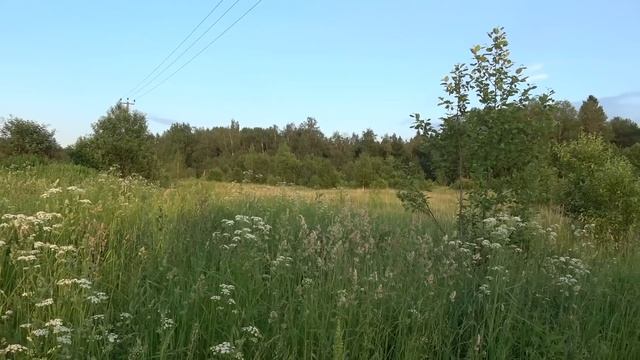 Маслкар с характером BMW. Ford Mustang за 2.2 млн. рублей смотреть онлайн