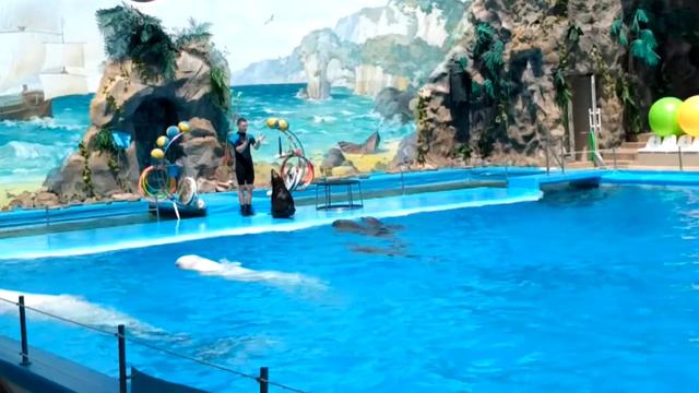 Харьков Немо июнь 2019 смотреть онлайн