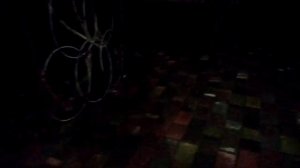 Черничный хутор. Утепление и пьянство.