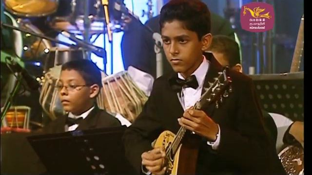 Royal college Susara '14 Mandolin solo смотреть онлайн