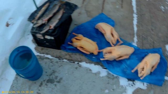 Вегетарианская Кухня