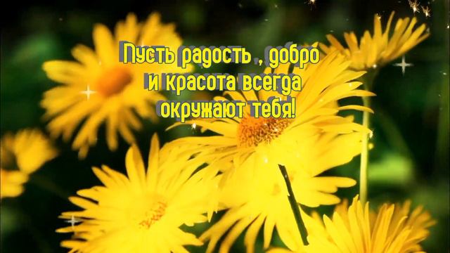 Доброе пожелание 🤗🌹 смотреть онлайн