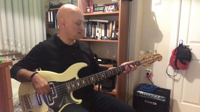 Bass guitar cover of Everybody's gotta learn sometime смотреть онлайн