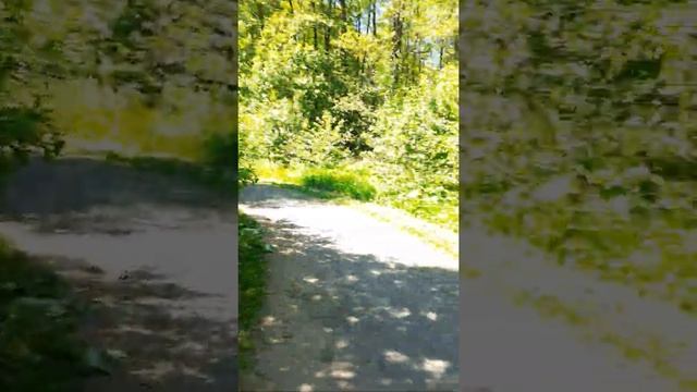 Любуемся Ольховским прудом смотреть онлайн