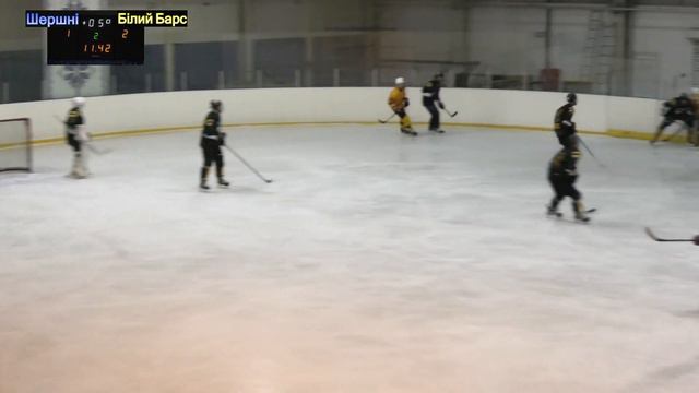 МХЛ || Шершні - Білий Барс || Трансляція матчу (14.02.2024) смотреть онлайн