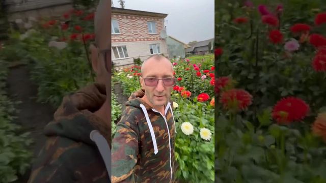 Последний Император, селекционер георгинов Дороганов О.А. смотреть онлайн